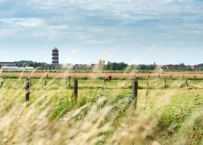 Meiboom 503 With Parking By Interhome *